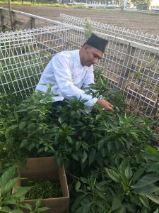 Fb Img 1742128097943